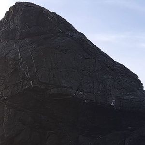 Meet your Posher, Dennis